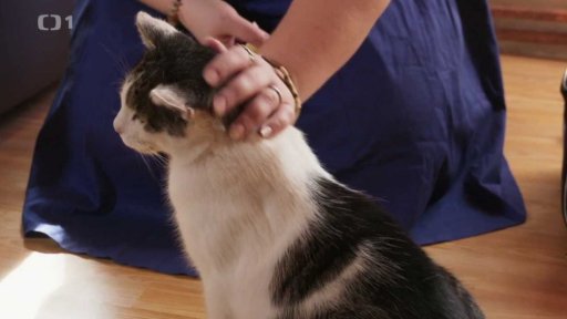 Kousavý Ket: triky a rady