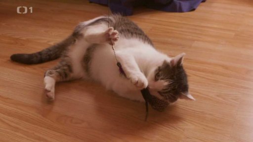 Kousavý Ket: po měsíci