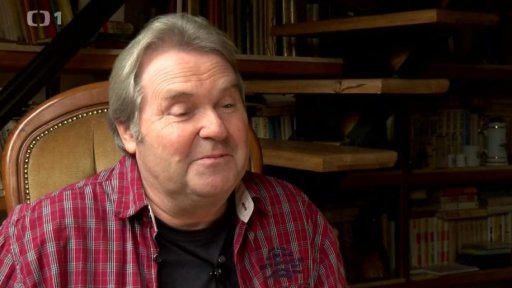 Profesionální vnuk