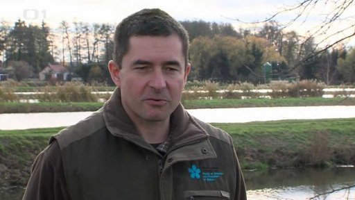 Přátelský kaviár