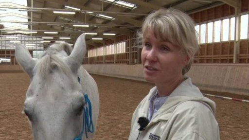 Osobní rozvoj s koněm