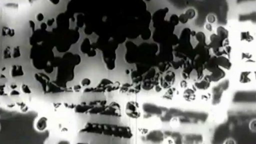 YLO - Africký slon (r. Martin Čihák, 1998, 4 min.)