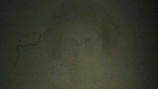 Kůže (r. Alexandra Moralesová, 2011, 4 min.)