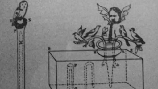 Rhus Typhina (r. Georgy Bagdasarov a Alexandra Moralesová, 2014, 3 min.)