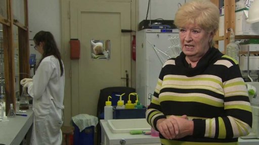 Odměňování českých vědců