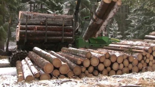 100 tisíc kubíků poničeného dřeva