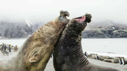 Nejlepší snímky přírody