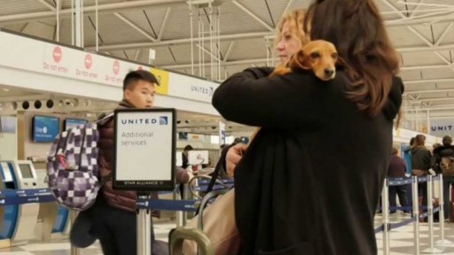 Kauza amerických aerolinek