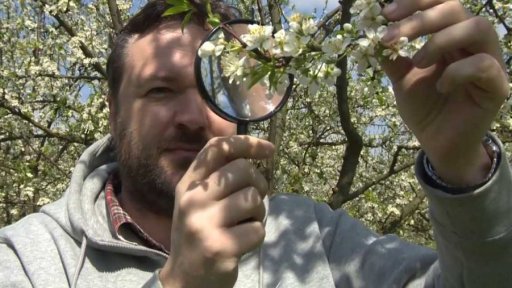 Škody po mrazivé noci