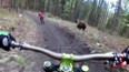 Střet cyklistů a medvěda