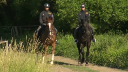 Česko-slovenské pátrání po lupičích