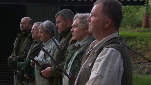 Neomezený lov divokých prasat