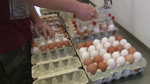 Automaty na domácí vejce