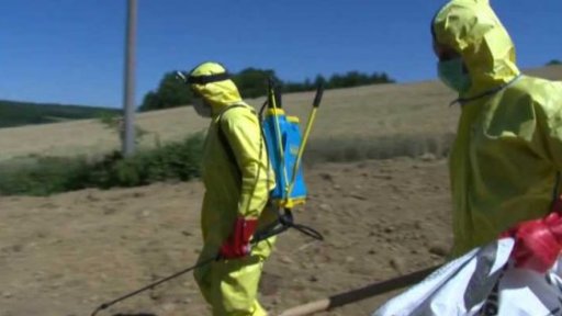 Opatření proti africkému moru prasat