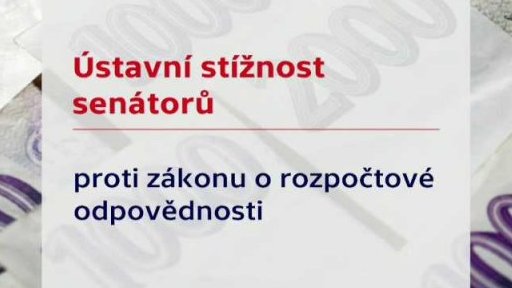 Ústavní stížnosti