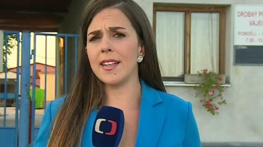 Vybíjení slepic kvůli salmonele