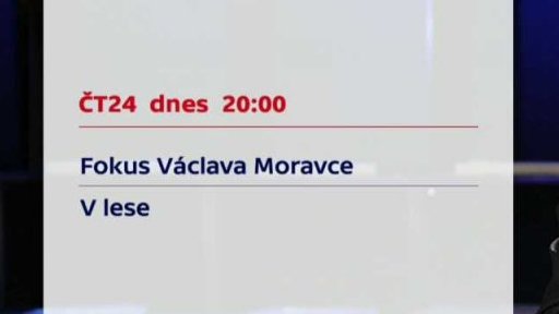 Fokus Václava Moravce