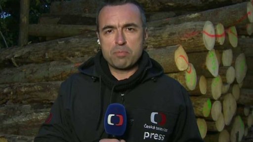 Zákaz těžby dřeva