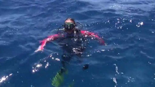 Ochrana korálových útesů