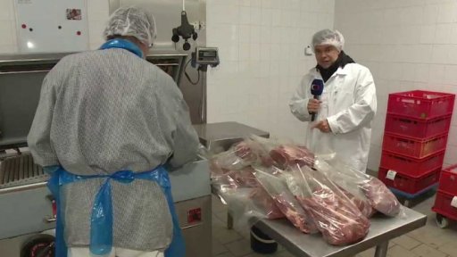 Cena masa divokých prasat