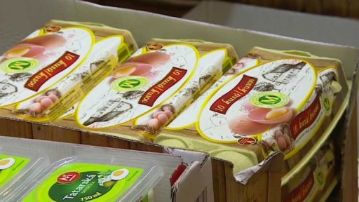 Nové slepice ve velkochovu v Pohořelích