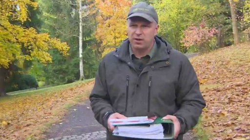 Ústavní stížnosti senátorů