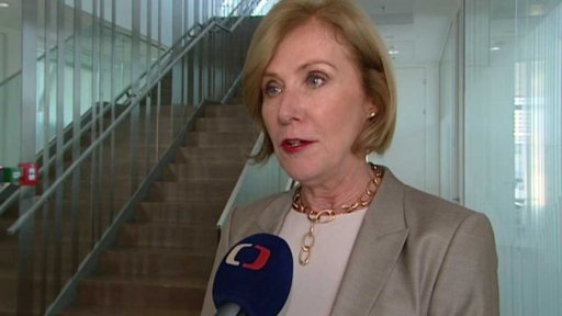 České firmy v příštím roce