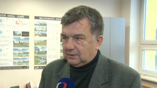 Referenda během voleb