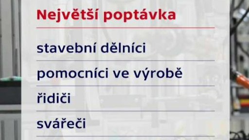 Volná pracovní místa