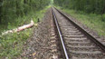 Škody na tratích po nedělní vichřici