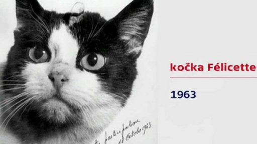 Živočichové ve vesmíru