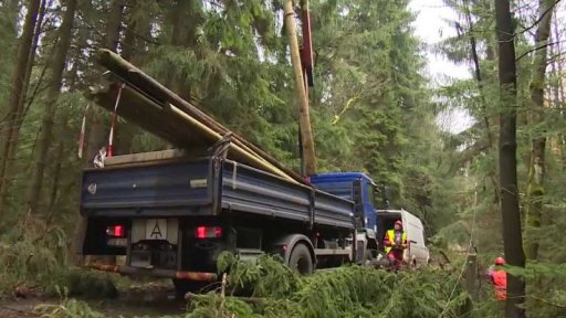 Uklízení následků vichřice