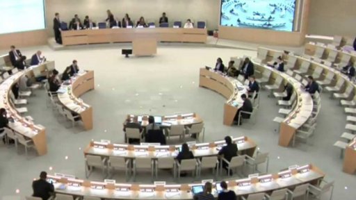 OSN a kritika Česka