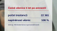 České věznice 5 let po amnestii