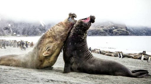 Nejlepší fotografie přírody