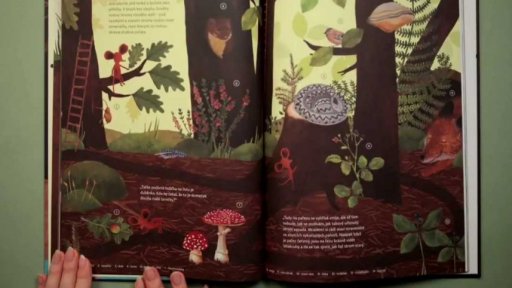 Ocenění Zlatá stuha