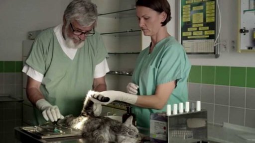 Novinky České televize