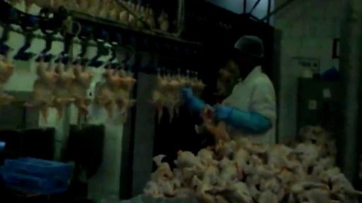 Jihlavský festival ocenil Hranice práce