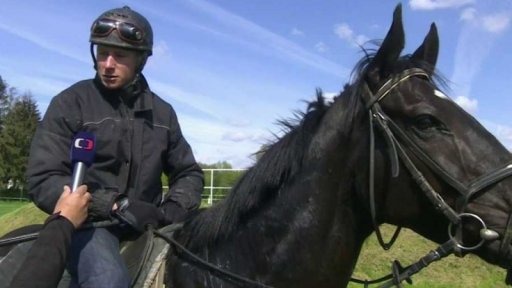 Pardubické dostihové závodiště by mělo být bezpečnější