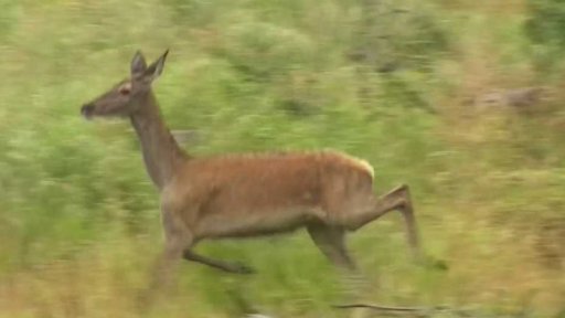 Události týdne den po dni