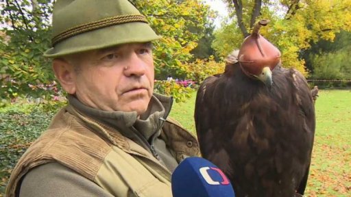 Setkání sokolníků