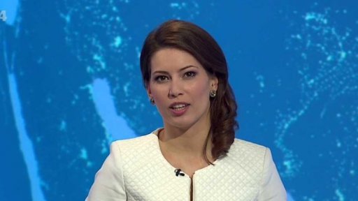 Zpravodajský servis