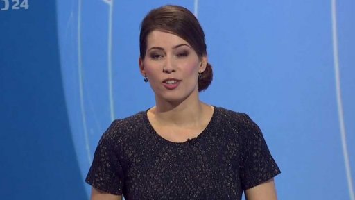 Zpravodajský servis