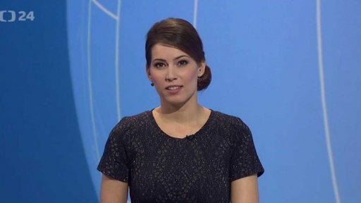 Zpravodajský servis