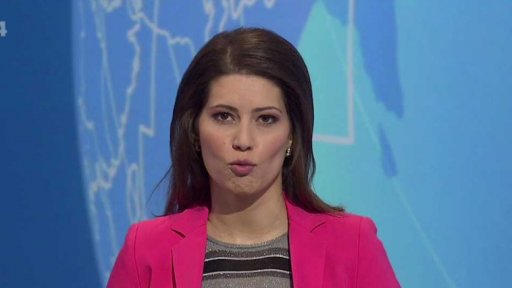 Zpravodajský servis