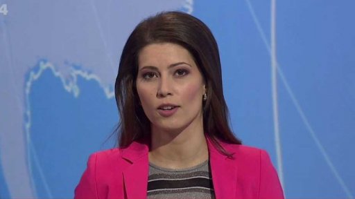 Zpravodajský servis