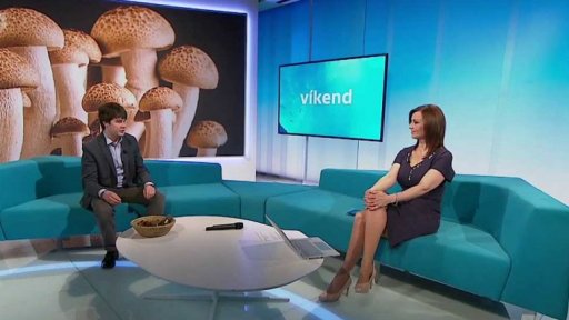 V mrazivém počasí rostou houby