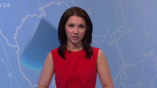 Zpravodajský servis