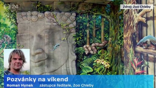 Pozvánky na víkend