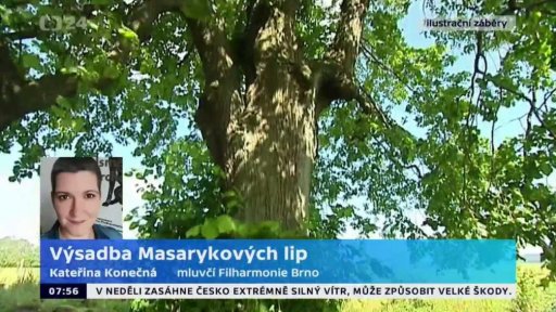 Výsadba Masarykových lip